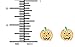 Hypoallergenic Sterling Silver Halloween Jack-O-Lantern Pumpkin Stud Earrings for Kids (Nickel Free)