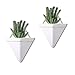 PUDDING CABIN 2 Pack Small Wall Succulent Planters Gold-White Wall Decor Geometric Triangle Hanging Planters 4Inch Succulents Pots for Cactus, Air Plants, for Mom