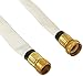 WASP Forestry Grade Lay Flat Hose with Garden Thread, 25', White