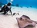 SeaLife SL913 AquaPod Underwater Camera Pole (Black)