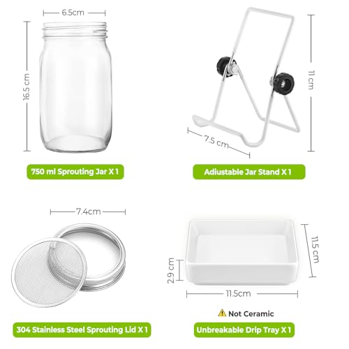 ecooe Sprossen SJFC01-N Germination Glass Set of 1 Germination Glasses for Sprouting Jar with 1 Water Bowl 1 Filter Mesh Cover Made of 304 Stainless Steel and 1 Stand