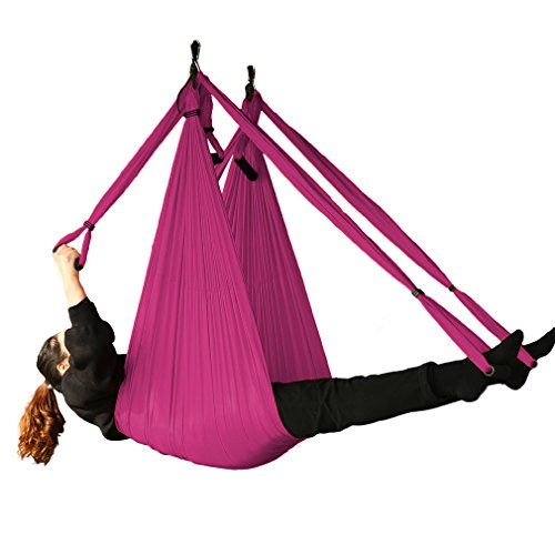 Algopix Similar Product 13 - WELOVE Aerial Yoga SwingHammock