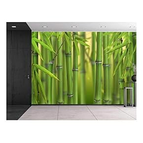 Green Bamboo Trees with a Leaves - Wall Mural, Removable Sticker, Home Decor - 66x96 inches