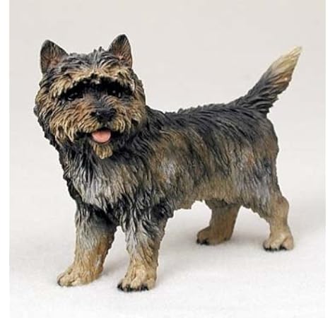 teacup cairn terrier
