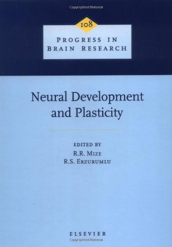 Neural Development and Plasticity, Volume 108 (Progress in Brain Research)
