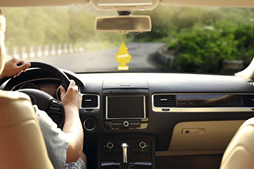 WUNDER-BAUM Auto-luchtverfrisser, aanhanger voor langdurige geur in de auto of thuis, New Car, 1 stuk - Afbeelding 4