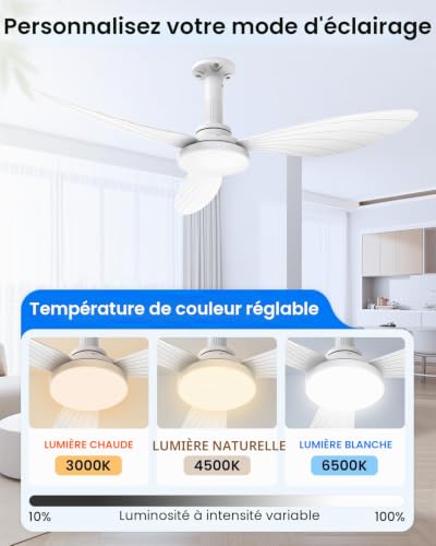 Hisummer 106 cm Ceiling Fan with Light, E27 Connection Only with Base Supplied, Quick Assembly Silent Reversible Ceiling Fan with Remote Control for Bedrooms, Living Rooms, Kitchens