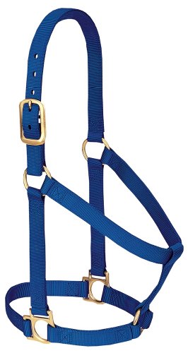Weaver Leather Basic Non-Adjustable Nylon Horse Halter, Blue, 1 Large Horse