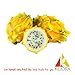 KEJORA Fresh Yellow Dragon Fruit (Set of 8)