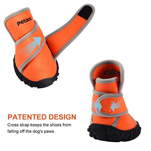 petacc dog boots