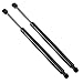 Maxpow 4162 SG325011 Compatible With 2004 2005 2006 2007 Maxima Hood Struts Lift Support, Pack of 2