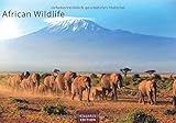 African Wildlife 2020 - Format S by 