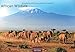 African Wildlife 2020 - Format S by 