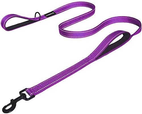 6ft dog leash