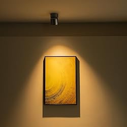 Aisilan LED Ceiling Spot Light Indoor Dimmable 2