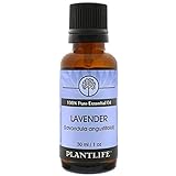 Lavender 100% Pure Essential Oil - 30 ml