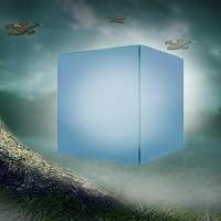 An image posted by the author.