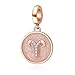 Rose Gold Zodiac Sign Charms 925 Sterling Silver Constellation Dangle Charm for European Bracelet (Aries)