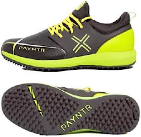 payntr cricket shoes sale