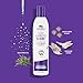 Powerful Purple Shampoo & Conditioner Set, Sulfate Free - Tones, Prevents, Balances Brassiness in Blonde, Color Treated, Silver, Grey Hair - Paraben Free, Vegan Friendly