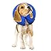 E-KONG Dog Cone After Surgery, Protective Inflatable Collar, Blow Up Dog Collar, Pet Recovery Collar for Dogs and Cats Soft (M)