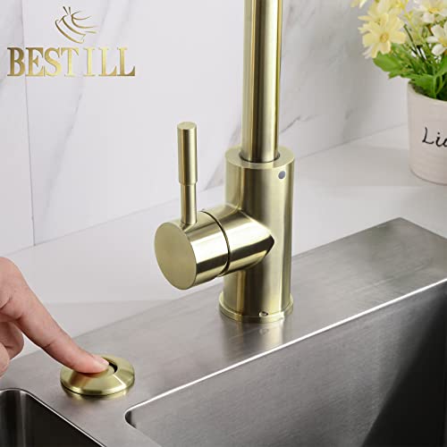 BESTILL Sink Top Air Switch Kit for Garbage Disposal, Brushed Gold