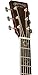 Martin Special Edition GPC-Aura GT Grand Performance Acoustic-Electric Guitar