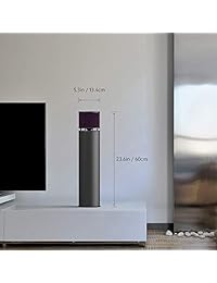 ABRAMTEK E600   Altavoz Bluetooth portátil (100 W)