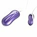MOJOY Multi 10 Frequency Love Egg Vibrator, Mini Bullet Vibe Wired Massager Female Masturbator Vibration (Purple)
