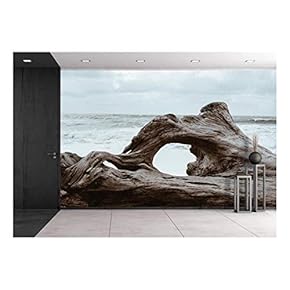 Old Giant Tree Root on The Sea Shore - Removable Wall Mural | Self-Adhesive Large Wallpaper - 66x96 inches