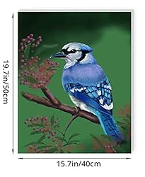 Pretty Jolly DIY Paint by Numbers for Adults