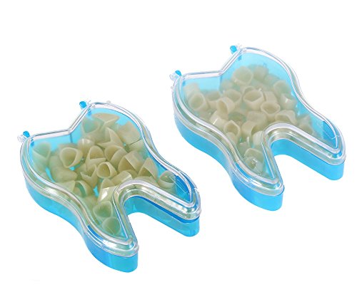 2 Mixed+Dental+Temporary+Anterior+Posterior