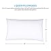 Lighting Mall Queen Pillowcases, 100% Brushed Microfiber Pillowcase Protector, Ultra Soft, Wrinkle Free Stain Resistant (Set of 2, White)