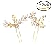Yean Gold Wedding Hair Pin Vintage Leaf and Flower Bridal Hair Clips Pins for Brides and Bridesmaids (Set of 2)