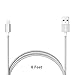 Lizone Nylon Braided USB Cable - 6 Feet - Silver (MFI Apple Certified)