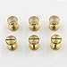 CrazyEve Brass Leather Binding Stud Belt Strap Bag Screws Binder Nail Rivet 20 Sets with Install Hole Punch (10mmx8mm)
