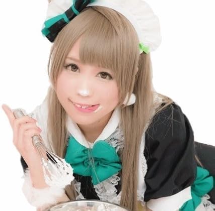 [Hanafuji] unfussy system! Love Live! Love Live! South Birds (Minami birds) cosplay wig [wig + wig net + wig comb set four points with stand + wig] School idol project high-quality heat-resistant wig R53