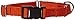 GOGO Pet Products 5/8-Inch Martingale Dog Collar, Small, Orange