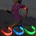 Higo Led Safety Light, Camping Gear Safety Lights, Reflective Bag Tags Clip-On PVC Light Up Reflective Bands for Backpack, Tents, Bicycles,Cycling Running Jogging by