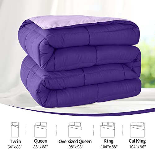 Homelike Moment Queen Lightweight Comforter Purple All Season Down