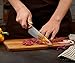 PAUDIN Chef Knife 8 Inch, Ultra Sharp Professional Chef Knife, High Carbon German Stainless Steel Kitchen Knives with Ergonomic ABS Handle, Kitchen Knife for Home & Restaurant