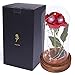 sexyrobot Beauty and the Beast Red Rose, Silk Flower with LED Light in a Glass Dome for Home Decor Holiday Party Wedding Anniversary Birthday Valentine's Day Gift