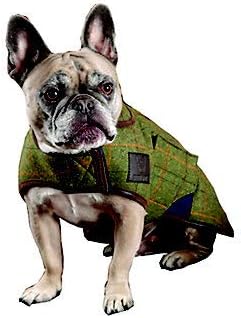 dog tweed coat