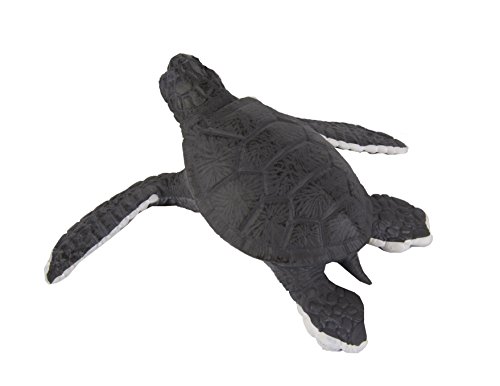 Safari Ltd Incredible Creatures Sea Turtle Baby