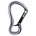 Black Diamond Gridlock Magnetron Carabiner
