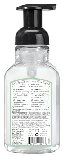 HAND SOAP, FOAMING, 9 FL OZ, VANILLA MINT VANILLA MINT