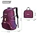 BONLEX Foldable Backpack Packable Travel Backpack - 35L Durable Ultra Lightweight Water Resistant Packable Daypack Handy for Hiking,Camping,Traveling,Backpacking Outdoor Sports (Purple)