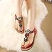 Nevera Shoes Ladies Flip-Flops Bohemian Elastic Strappy Thong Ankle Strap Sandals for Women