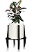 Mid Century Modern Plant Stand – Unique, Indoor, Mid Century Plant Stand – Easily Adjustable Bamboo Plant Stand for Pots from 4″ to 12″ – (Planters and Plants NOT Included)thumb 4