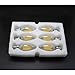BRIMAX E12 LED Bulbs, 6W Candelabra Led Bulbs Dimmable, E12 Base, 2700K Warm White, B11 Filament Led Candle Light Bulbs for Foyer Chandeliers, Celling Fans and Other Wall Fixtures,6 Pack